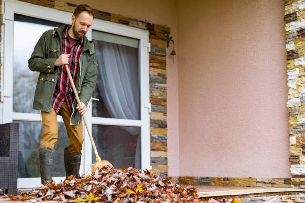 Best Garage Cleanout Services  in Hainesvle, IL